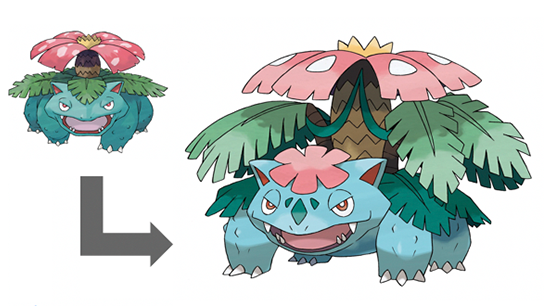 接下来要向你介绍妙蛙花,喷火龙和水箭龟超级进化后的样子.